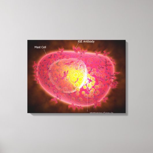 Mikroskopische Darstellung einer Mastzelle Leinwanddruck (Vorderseite)