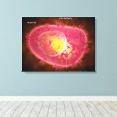 Mikroskopische Darstellung einer Mastzelle Leinwanddruck (Insitu (Holzboden))