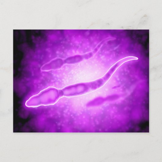 Mikroskopische Darstellung männlicher Spermienzell Postkarte (Vorderseite)