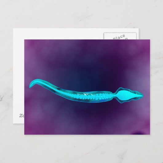 Mikroskopische Darstellung mit Knochenstruktur Postkarte (Vorne/Hinten)