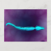 Mikroskopische Darstellung mit Knochenstruktur Postkarte (Vorderseite)