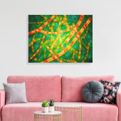 Mikroskopische Darstellung von Anthrax 2 Leinwanddruck (Insitu (Wohnzimmer))