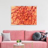 Mikroskopische Darstellung von Anthrax 3 Leinwanddruck (Insitu (Wohnzimmer))