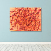 Mikroskopische Darstellung von Anthrax 3 Leinwanddruck (Insitu (Holzboden))