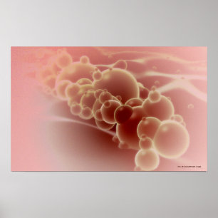 Mikroskopische Darstellung von Latexmikrosphären Poster