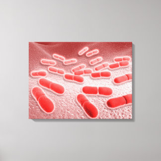 Mikroskopische Darstellung von Listeria monocytoge Leinwanddruck