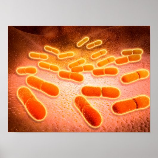 Mikroskopische Darstellung von Listeria monocytoge Poster (Vorne)