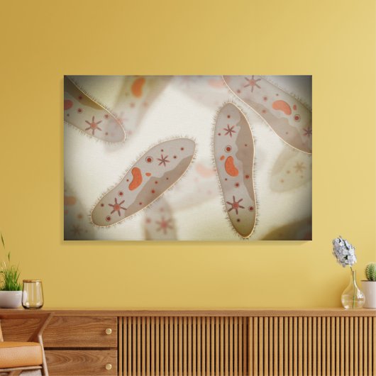 Mikroskopische Darstellung von Paramecium 1 Leinwanddruck (Insitu (Wohnzimmer))