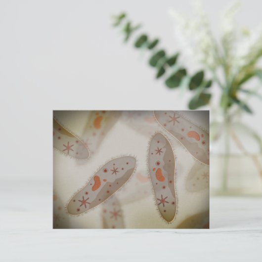 Mikroskopische Darstellung von Paramecium 1 Postkarte (Stehend Vorderseite)