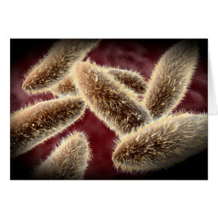 Mikroskopische Darstellung von Paramecium 2