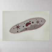 Mikroskopische Darstellung von Paramecium 3 Poster (Vorne)