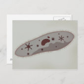Mikroskopische Darstellung von Paramecium 3 Postkarte (Vorne/Hinten)