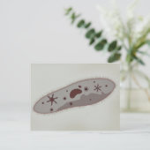 Mikroskopische Darstellung von Paramecium 3 Postkarte (Stehend Vorderseite)