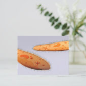 Mikroskopische Darstellung von Paramecium 4 Postkarte (Stehend Vorderseite)