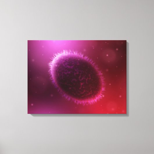 Mikroskopische Darstellung von Samlpox 1 Leinwanddruck (Vorderseite)