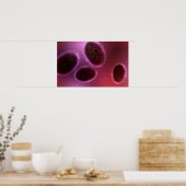 Mikroskopische Darstellung von Samlpox 2 Poster (Küche)