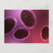 Mikroskopische Darstellung von Samlpox 2 Postkarte (Vorderseite)