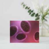 Mikroskopische Darstellung von Samlpox 2 Postkarte (Stehend Vorderseite)