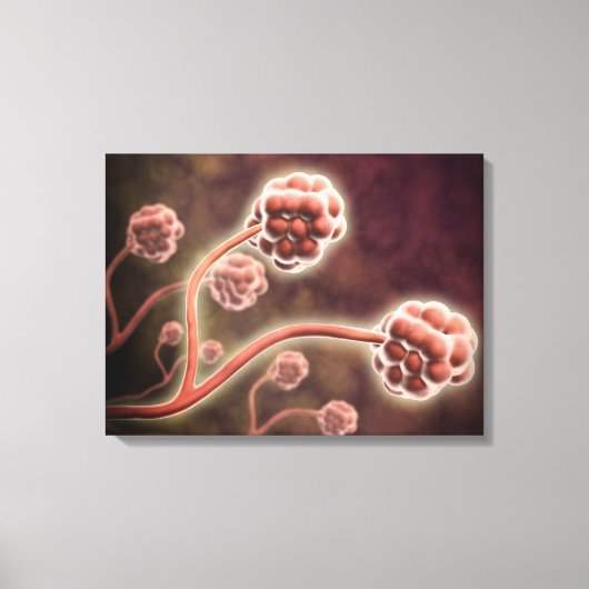 Mikroskopische Darstellung von Stachybotrys Charta Leinwanddruck (Vorderseite)