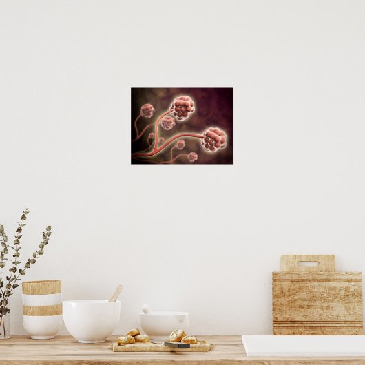 Mikroskopische Darstellung von Stachybotrys Charta Poster (Küche)