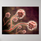 Mikroskopische Darstellung von Stachybotrys Charta Poster (Vorne)