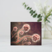 Mikroskopische Darstellung von Stachybotrys Charta Postkarte (Stehend Vorderseite)