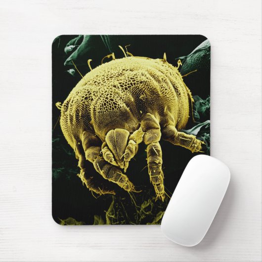 Mikroskopische Gliederfüßer Acari Milbe Lorryia Mousepad (Mit Mouse)