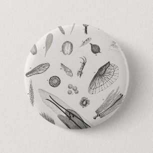 Mikroskopische Objekte2 Button