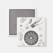 Mikroskopische Objekte Magnet (Vorderseite/Rückseite)