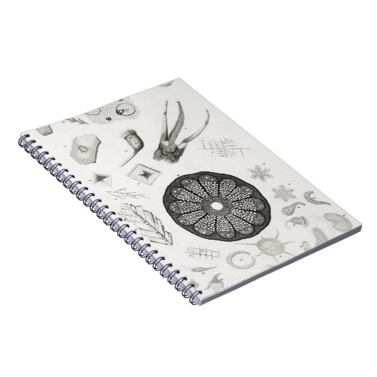 Mikroskopische Objekte Notizblock (Rechte Seite)