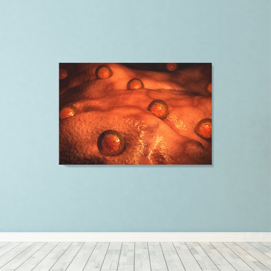 Mikroskopische Ovuleansicht Leinwanddruck (Insitu (Holzboden))