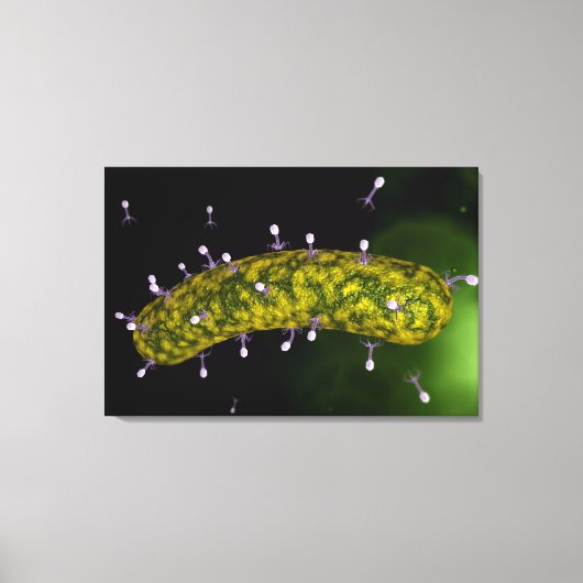 Mikroskopische Sicht auf Bakteriophage Leinwanddruck (Vorderseite)