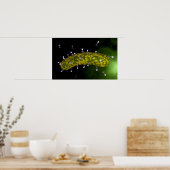 Mikroskopische Sicht auf Bakteriophage Poster (Küche)