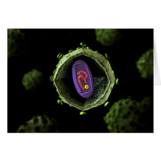 Mikroskopische Sicht auf das HIV-Virus, Querschnit (Vorderseite (Horizontal))