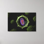 Mikroskopische Sicht auf das HIV-Virus, Querschnit Leinwanddruck (Vorderseite)