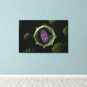 Mikroskopische Sicht auf das HIV-Virus, Querschnit Leinwanddruck (Insitu (Holzboden))