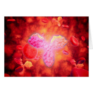 Mikroskopische Sicht auf menschliche Antikörper