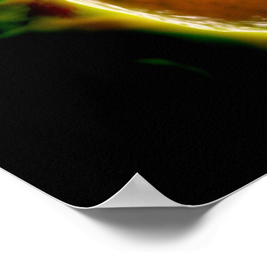 Mikroskopische Sicht auf menschliche B-Zellen 2 Poster (Ecke)