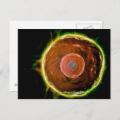 Mikroskopische Sicht auf menschliche B-Zellen 2 Postkarte (Vorne/Hinten)