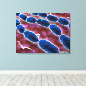 Mikroskopische Sicht der Bakterienpneumonie 1 Leinwanddruck (Insitu (Holzboden))