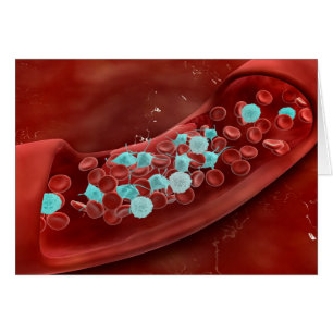 Mikroskopische Sicht der Blutgerinnung