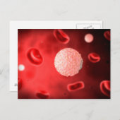 Mikroskopische Sicht der weißen Blutkörperchen Postkarte (Vorne/Hinten)