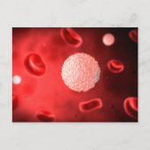 Mikroskopische Sicht der weißen Blutkörperchen Postkarte (Vorderseite)