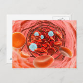 Mikroskopische Sicht des Blutflusses innerhalb ein Postkarte (Vorne/Hinten)