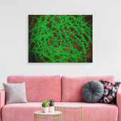 Mikroskopische Sicht des Cocci-Bakteriums Leinwanddruck (Insitu (Wohnzimmer))