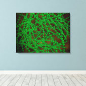 Mikroskopische Sicht des Cocci-Bakteriums Leinwanddruck (Insitu (Holzboden))