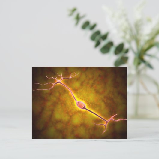 Mikroskopische Sicht einer bipolaren Neuron Postkarte (Stehend Vorderseite)