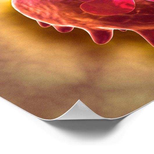 Mikroskopische Sicht phagozytischer Makrophagen 2 Poster (Ecke)