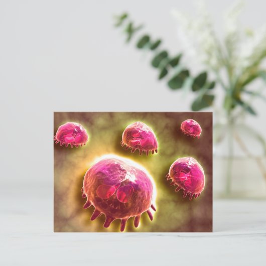 Mikroskopische Sicht phagozytischer Makrophagen 2 Postkarte (Stehend Vorderseite)