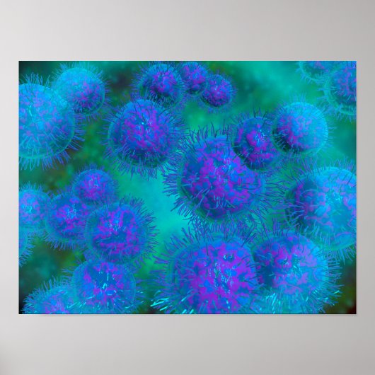 Mikroskopische Sicht von Diplococcus Bacterium Poster (Vorne)